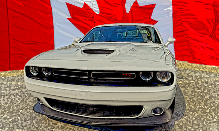 The Cross-Border Wholesale  Playbook: Capitalizing on Currency