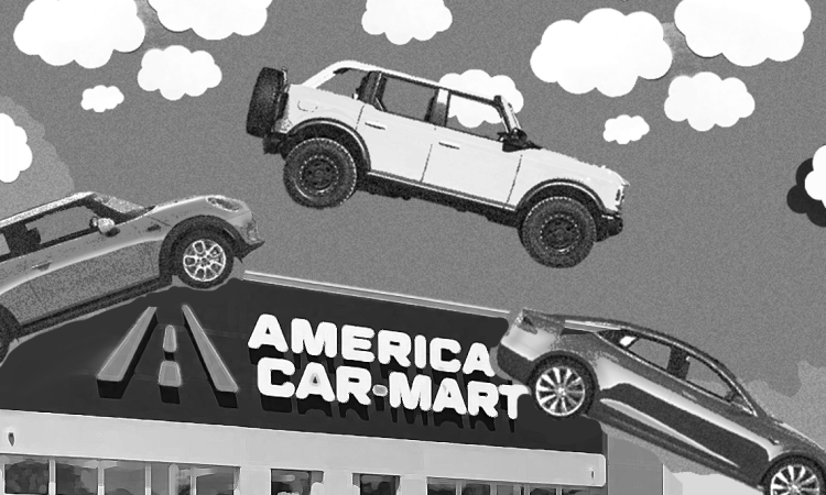 America's Car-Mart Issues 
